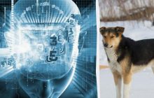 Лише 2% дуже розумних людей покажуть, що не так на фото за 8 секунд: головоломка