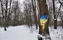 Казковий ліс посеред міста: ідеї для зимових прогулянок у Києві (фоторепортаж)