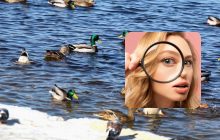 Очень хитрая головоломка для умников: проверьте себя за 7 секунд