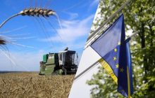Неравномерный баланс: в ЕС готовят специфическое решение по экспорту из Украины, - FT