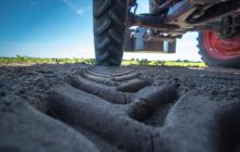 Уряд Румунії затвердив додаткову підтримку фермерів, які блокували кордон з Україною