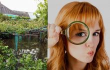 Не кожному під силу знайти птаха в саду за 11 секунд: складна оптична ілюзія