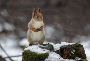 Синоптик попередила про зміну погоди у Києві: до чого готуватись