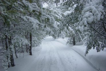 Возникла серьезная погодная угроза: спасатели назвали опасные территории Украины