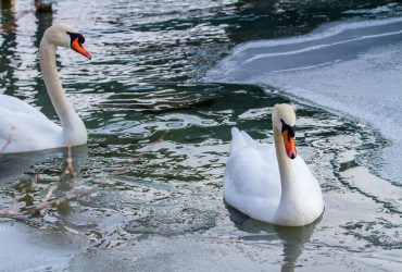 Синоптик пообещала украинцам температурную карусель: что будет с погодой