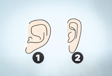 Подивіться на свої вуха: тест на приховані риси характеру