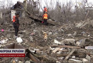 Загинуло три покоління однієї родини: пошуковці знаходять десятки фрагментів тіл