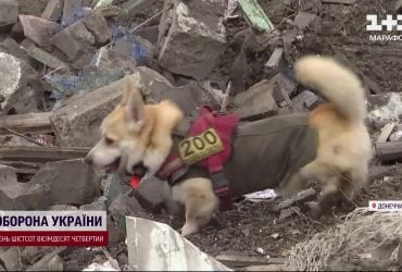 Підрахувати кількість загиблих досі не можуть: замість тіл знаходять десятки фрагментів