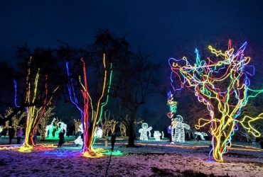 Парк "Illuminarium. Магія світла" на ВДНГ