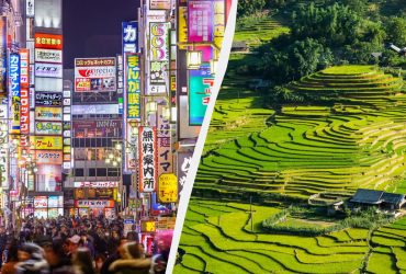 Почти без Европы: Tripadvisor назвал самые трендовые туристические направления на 2024 год