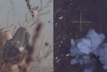 Росіяни потрапили у пастку: у ЗСУ показали дуже вдале полювання (відео)