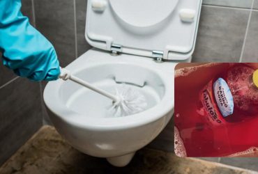 Ніколи так не робіть: сантехніки жахнулися через популярний лайфхак для унітазу