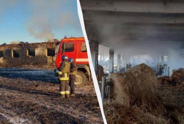 РФ вдарила ракетами по Одещині, денацифікувавши ферму (відео)