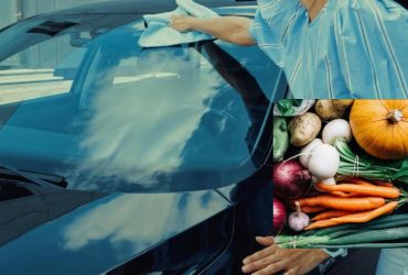 Всі овочі, за допомогою яких можна розморозити автомобіль - від картоплі до цибулі