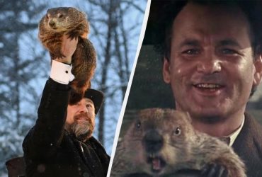 День бабака 2024: за що ми любимо це свято