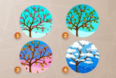 Улюблена пора року визначить ваш характер: цікавий тест