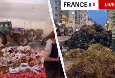 Протесты во Франции: фермеры засыпают города навозом, угрожают заблокировать Париж (видео)
