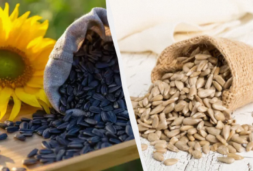 В чем польза семян подсолнечника: 4 причины включить их в свой рацион