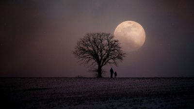 Благоприятных дней немало, остается только выбрать! Лунный календарь стрижек на февраль 2024 года