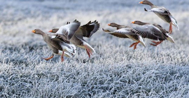 Погода на завтра - Синоптики дали прогноз погоди по Україні - УНІАН