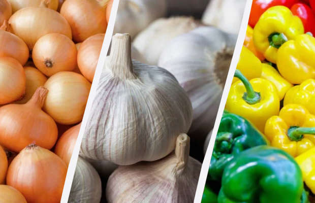 Как вырастить лук, чеснок и перец в январе: инструкция от эксперта по садоводству