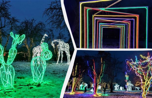 Сказочные животные и пшеничное поле: что предлагает парк световых инсталляций на ВДНХ (фоторепортаж)