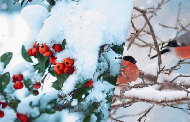 Народный праздник 12 января: 4 главных запрета этого дня