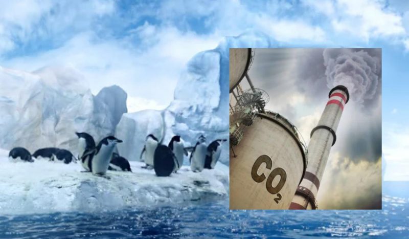 Пингвины и другие дикие животные находятся в опасности из-за выбросов CO2 в Антарктике / коллаж УНИАН, фото ua.depositphotos.com Пингвины и другие дикие животные находятся в опасности из-за выбросов CO2 в Антарктике / коллаж УНИАН, фото ua.depositphotos.com