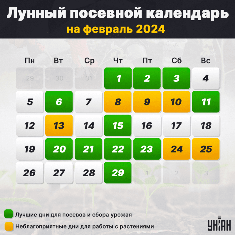 Посевной календарь на март года: таблицы и советы по дням