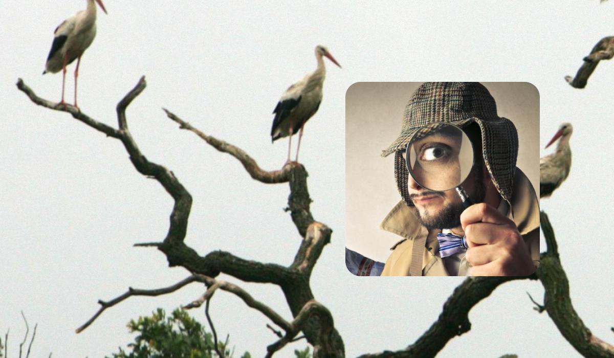 Випробуйте себе з новою ілюзією / Колаж УНІАН / фото ua.depositphotos.com, УНІАН