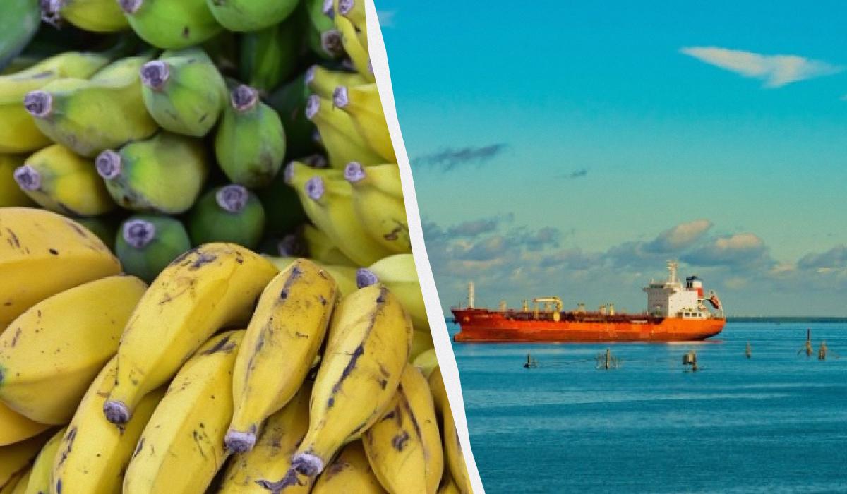 Россия начнет менять нефть на индийские бананы / коллаж УНИАН, фото Рixabay Россия начнет менять нефть на индийские бананы / коллаж УНИАН, фото Рixabay