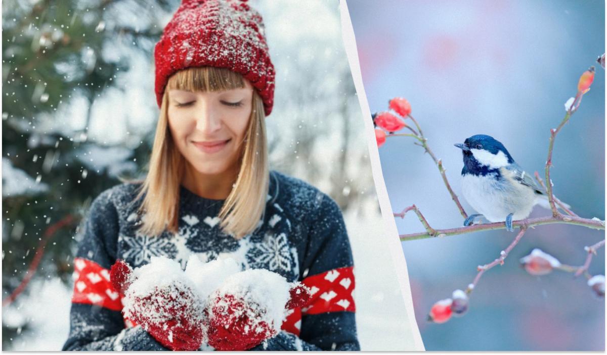 Какой сегодня праздник 10 февраля / коллаж УНИАН, фото ua.depositphotos.com Какой сегодня праздник 10 февраля / коллаж УНИАН, фото ua.depositphotos.com