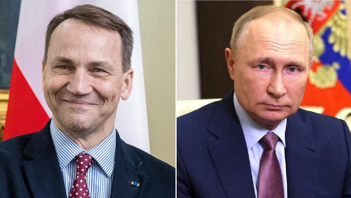 Сикорский говорит, что Путин хочет войти в историю как новый Петр Первый / коллаж УНИАН, фото Википедия Сикорский говорит, что Путин хочет войти в историю как новый Петр Первый / коллаж УНИАН, фото Википедия