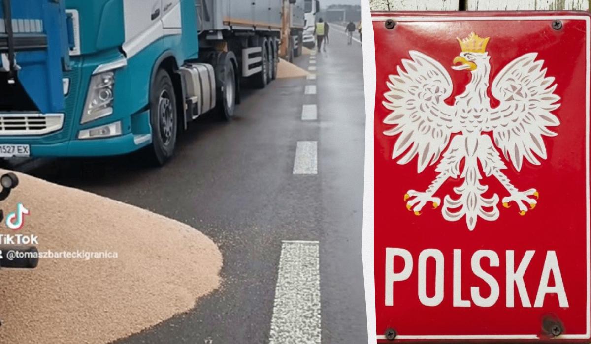 Посольство України відреагувало на інцидент із зерном в Польщі / колаж УНІАН, фото ua.depositphotos.com, скріншот з відео Посольство України відреагувало на інцидент із зерном в Польщі / колаж УНІАН, фото ua.depositphotos.com, скріншот з відео