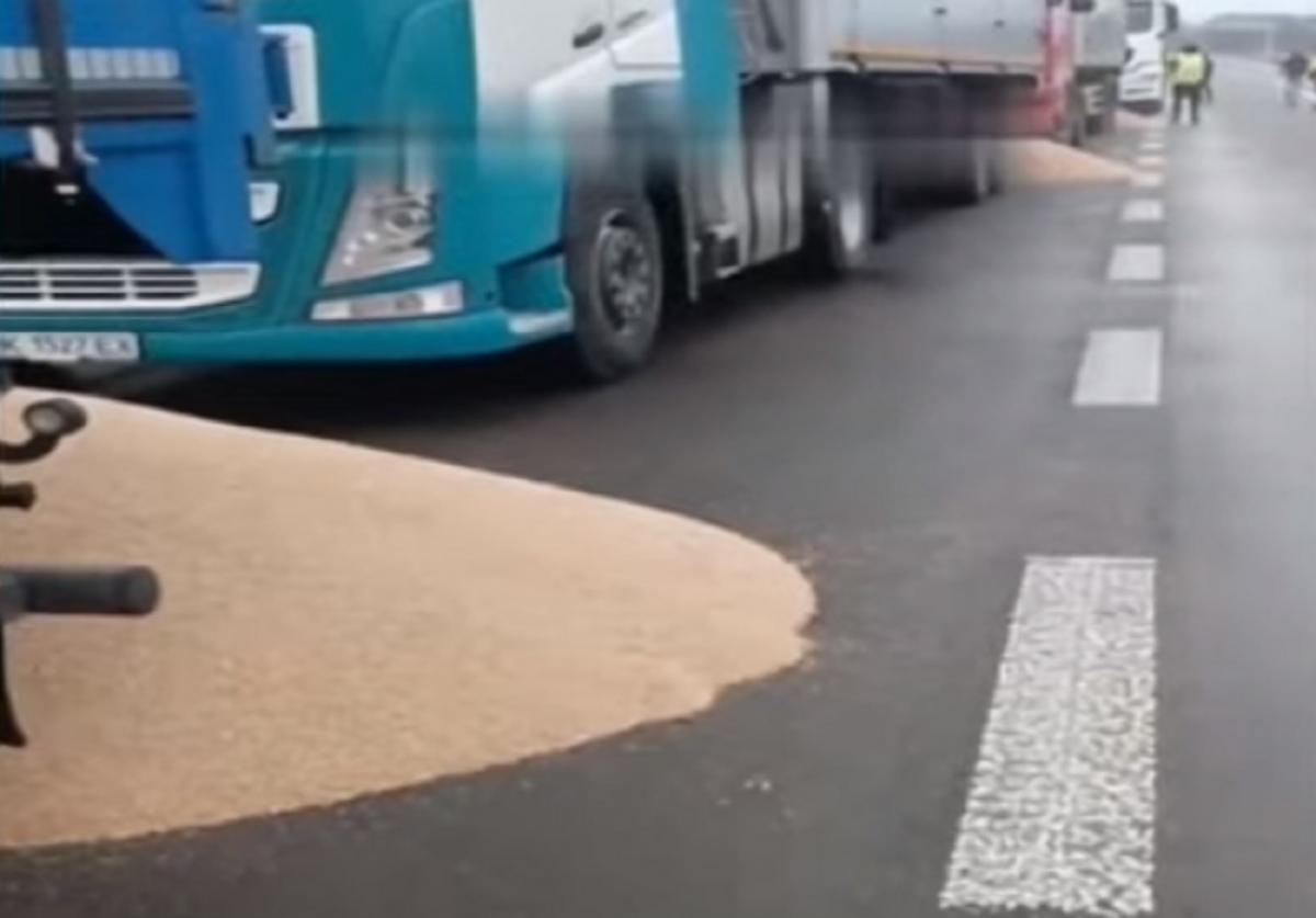 В Минагрополитики осудили уничтожение украинского зерна на границе с Польшей / скриншот В Минагрополитики осудили уничтожение украинского зерна на границе с Польшей / скриншот