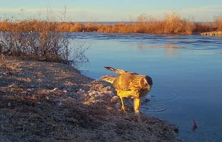 фото Фейсбук Іван Русєв фото Фейсбук Іван Русєв