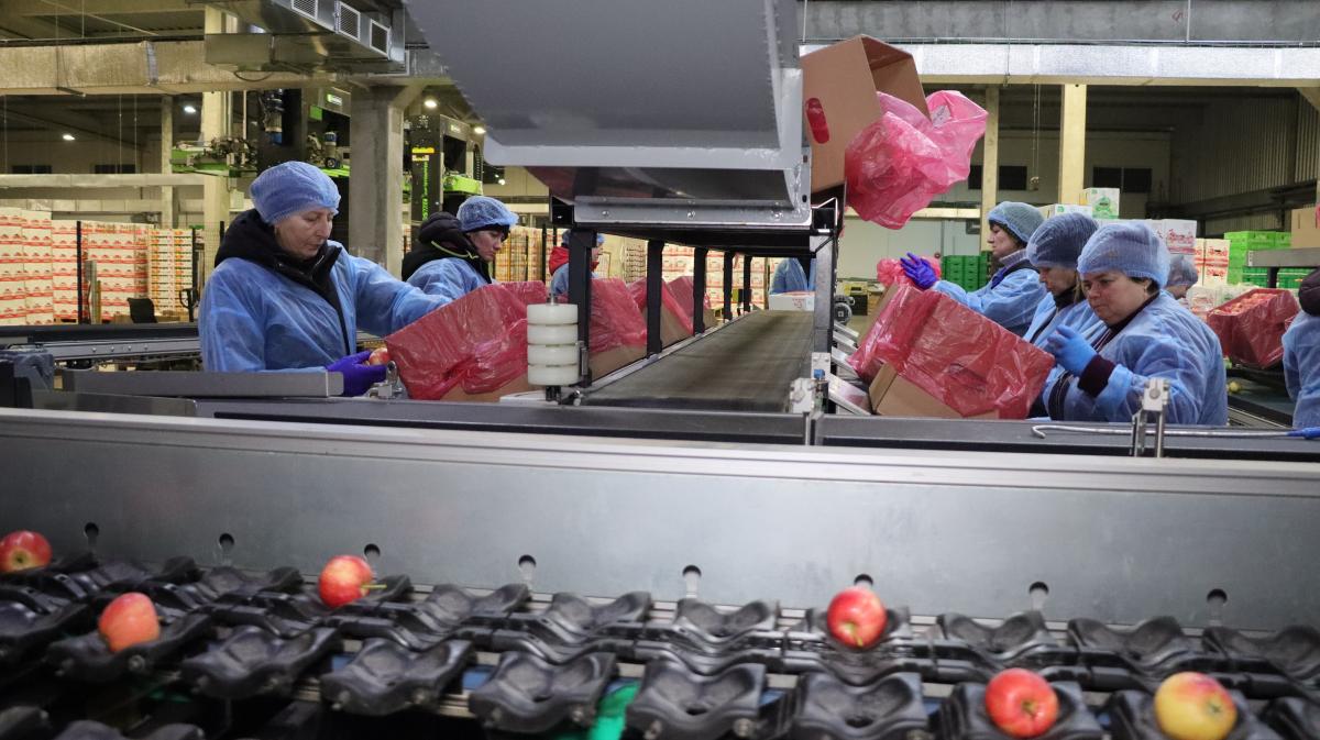 Як відновлюють економіку на звільнених територіях: серія мотиваційних відеороликів від підприємців Як відновлюють економіку на звільнених територіях: серія мотиваційних відеороликів від підприємців