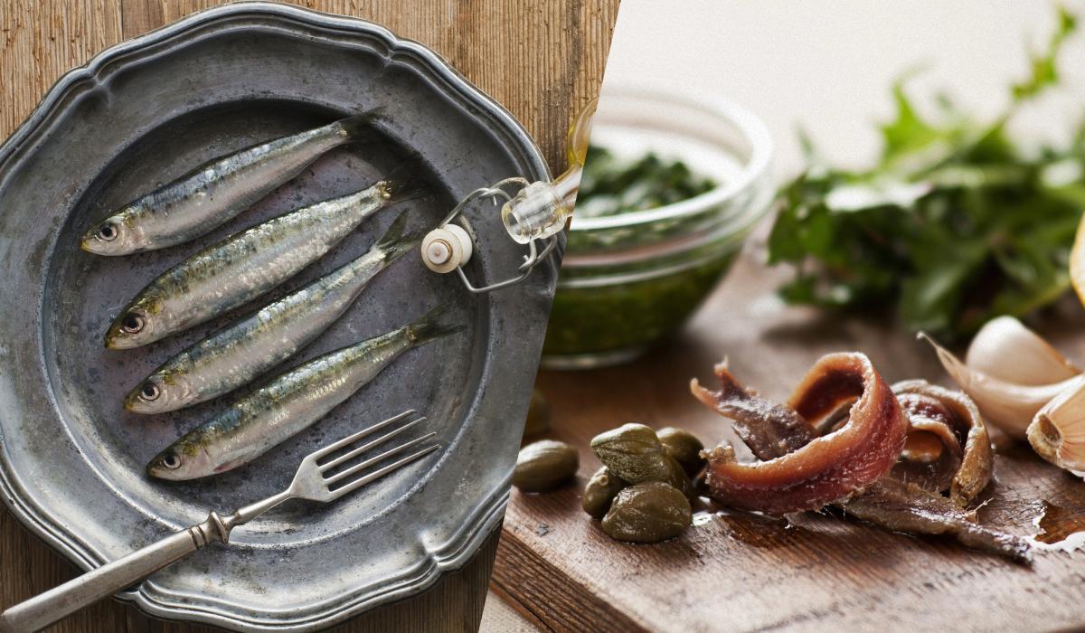 Anchovies and sardines have completely different taste characteristics /  collage, photo ua.depositphotos.com