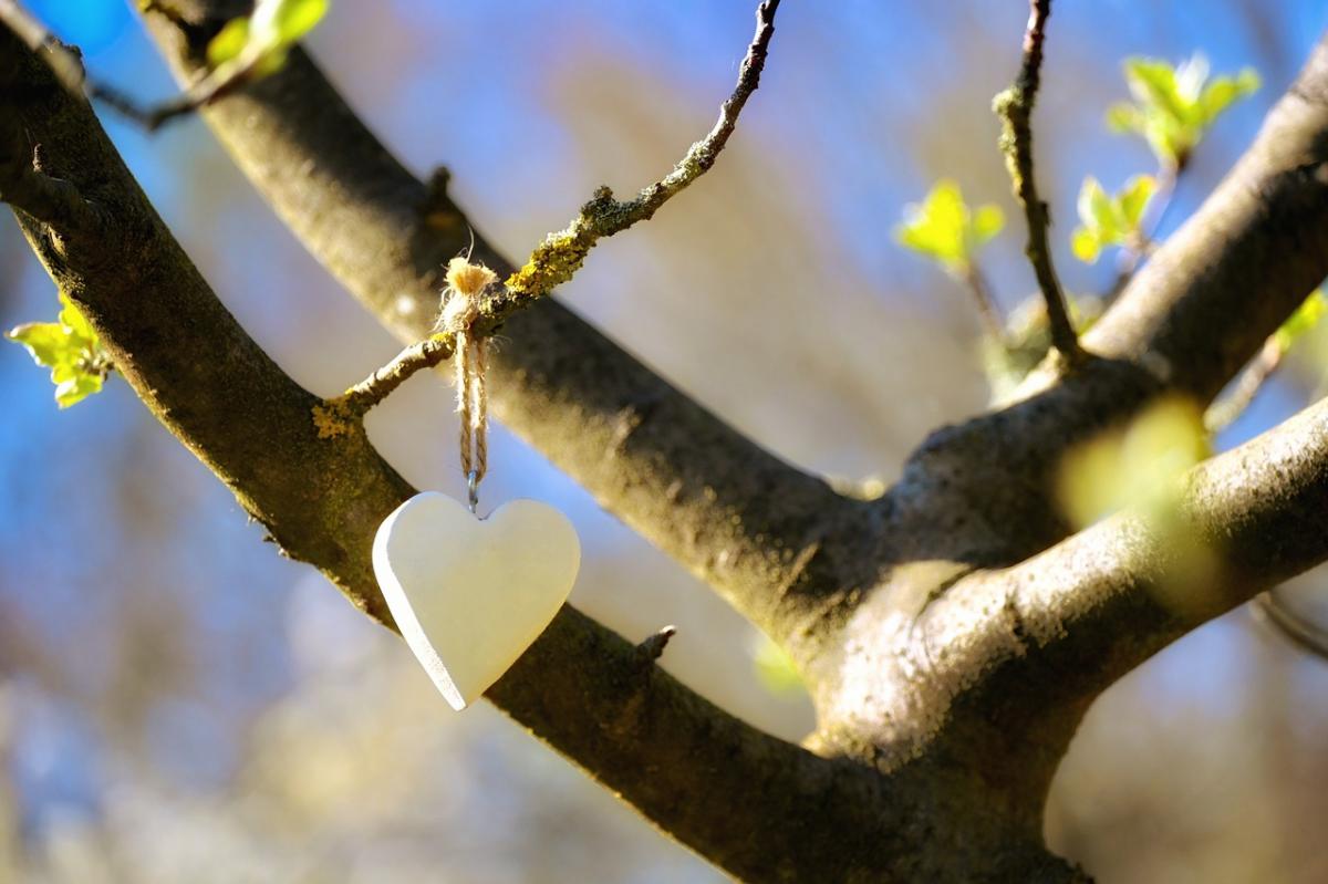 Вскоре в Киеве станет теплее / фото Mariya / Pixabay Вскоре в Киеве станет теплее / фото Mariya / Pixabay