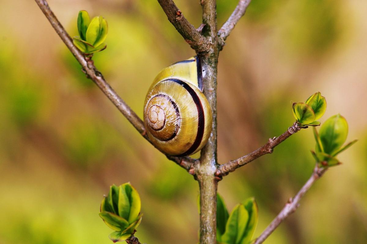 Вже за клька днів погода в Україні покращиться / фото Kati / Pixabay