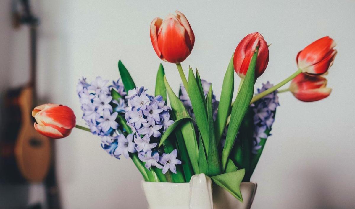 Праздники и выходные в марте 2024 / pixabay.com Праздники и выходные в марте 2024 / pixabay.com