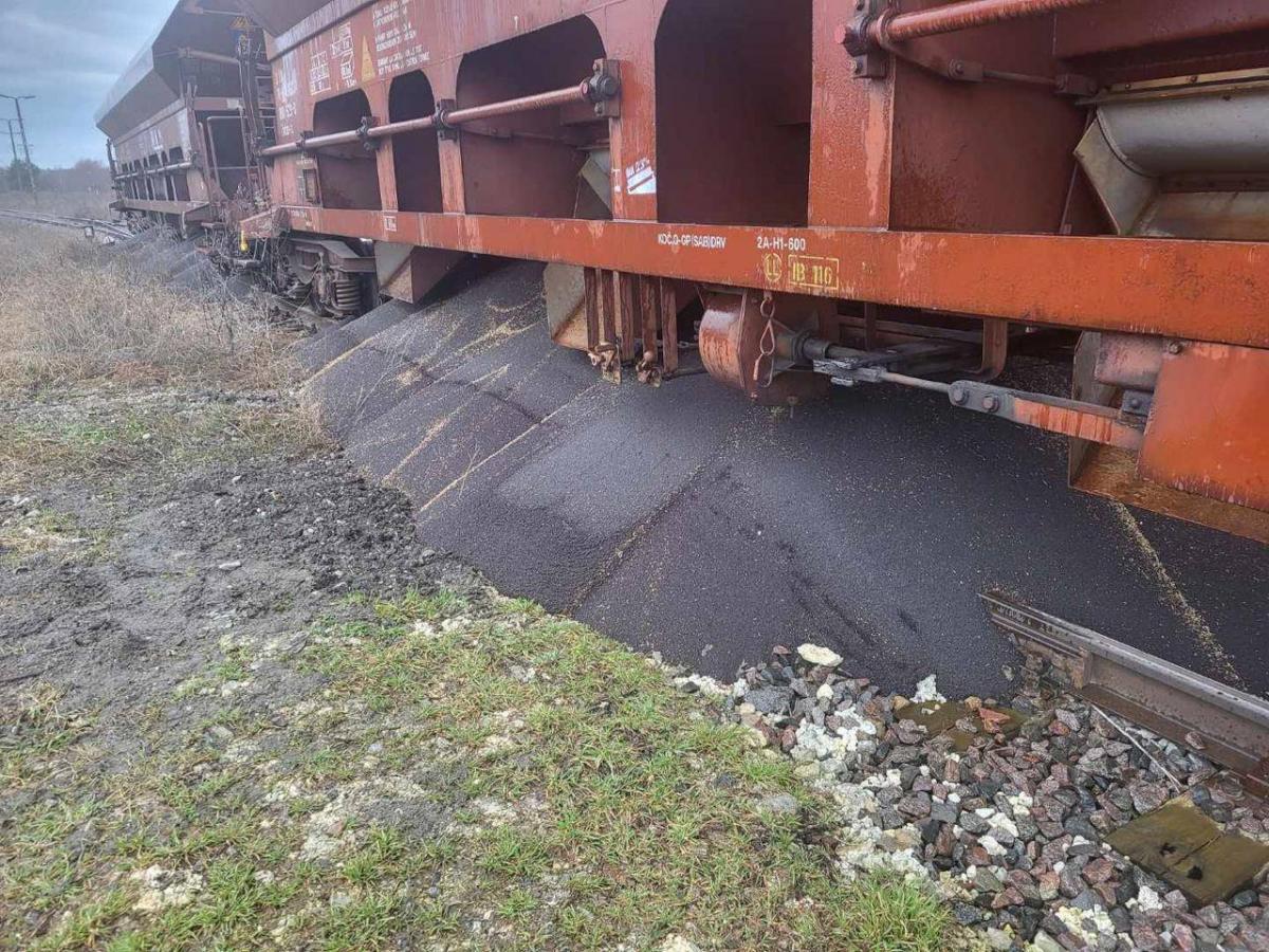 В Польше высыпали рапс из вагонов 'Укрзализныци' (фото) В Польше высыпали рапс из вагонов 'Укрзализныци' (фото)
