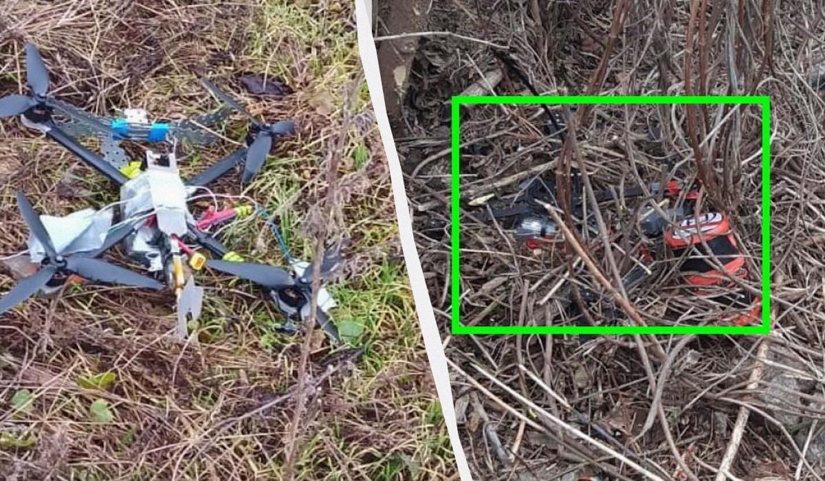 Прикордонники знищили 12 ворожих дронів / Колаж УНІАН, фото Південне регіональне управління ДПСУ Прикордонники знищили 12 ворожих дронів / Колаж УНІАН, фото Південне регіональне управління ДПСУ