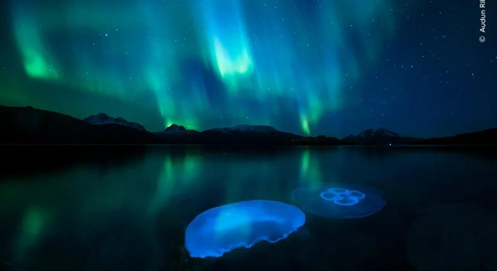 Яна үлкен жопа