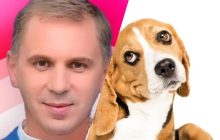 "Як собаці печена цибуля": що означає дивний фразеологізм, - Авраменко