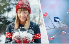 Народный праздник 10 февраля: что делали украинцы в этот день
