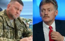 "Не изменит ход спецоперации": в Кремле отреагировали на увольнение Залужного