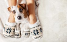 Как часто надо менять домашние тапочки и стирать их: важно для каждого