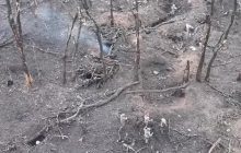 На Запорізькому напрямку захисники взяли в полон групу росіян: хто вони (відео)