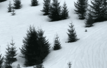 Чоловік перейшов незаконно кордон до Румунії: мандрівка закінчилася трагедією